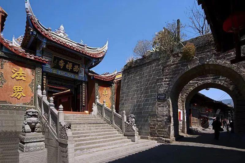 逃离橡子树种植地