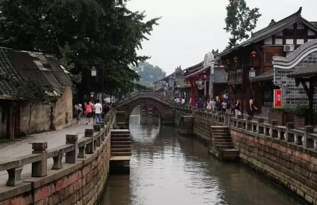 树舌是什么？