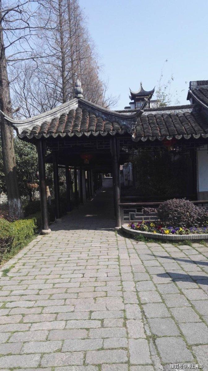 张雨绮兔女郎登场！性感与纯真的完美结合